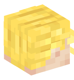 Minecraft head — People