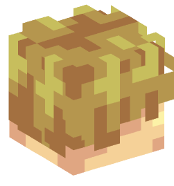 Minecraft head — People