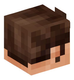 Minecraft head — People