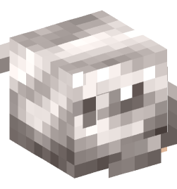 Minecraft head — People