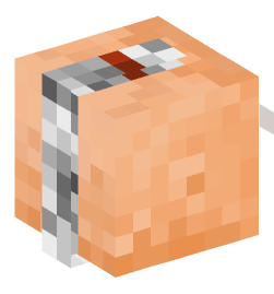 Minecraft head — People