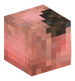 Minecraft head — Animals