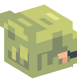 Minecraft head — People