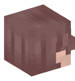 Minecraft head — People