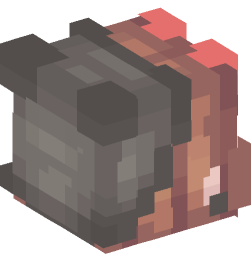 Minecraft head — People