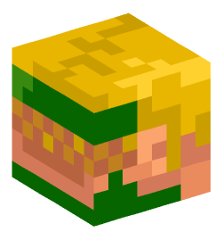 Minecraft head — People