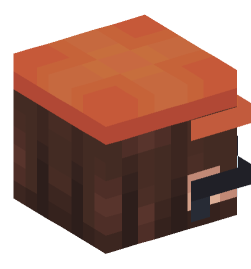 Minecraft head — People