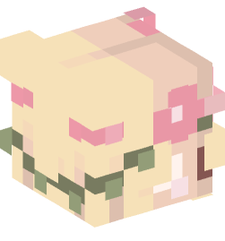 Minecraft head — People