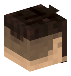 Minecraft head — People