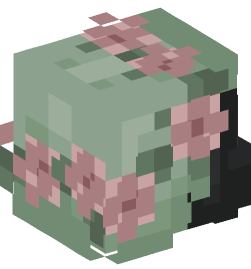 Minecraft head — People