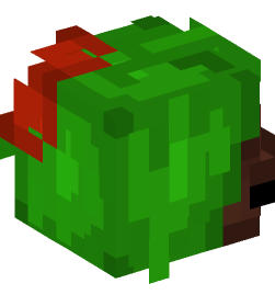 Minecraft head — People