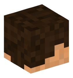 Minecraft head — People