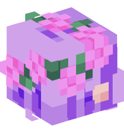 Minecraft head — People