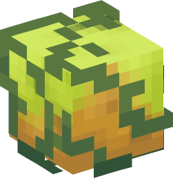 Minecraft head — Monsters