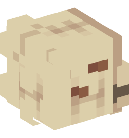 Minecraft head — People