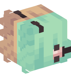 Minecraft head — People