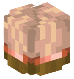 Minecraft head — Decor