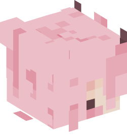 Minecraft head — Creatures