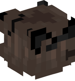 Minecraft head — People