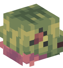 Minecraft head — People