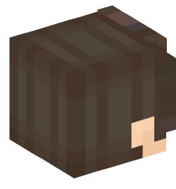 Minecraft head — People