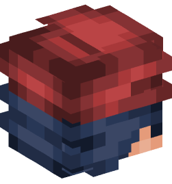 Minecraft head — People