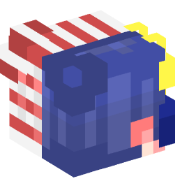 Minecraft head — People