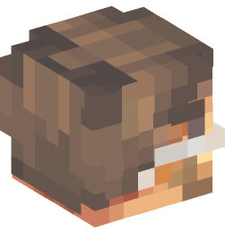 Minecraft head — People