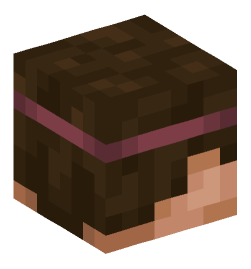 Minecraft head — People