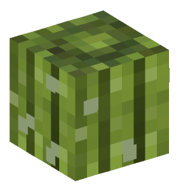 Minecraft head — Plants