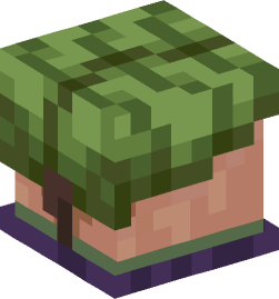 Minecraft head — Creatures