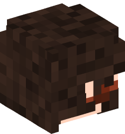 Minecraft head — People