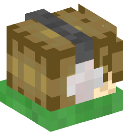 Minecraft head — People