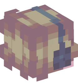 Minecraft head — People