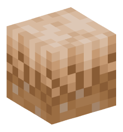 Minecraft head — Blocks