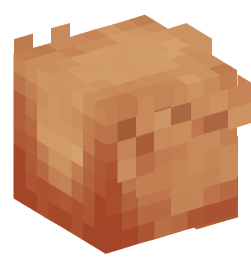 Minecraft head — Creatures