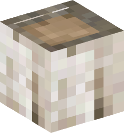 Minecraft head — Blocks