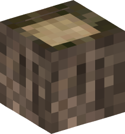 Minecraft head — Blocks