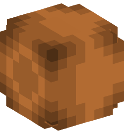 Minecraft head — Creatures