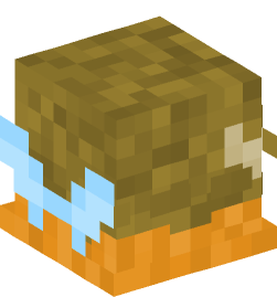 Minecraft head — Decor