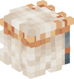 Minecraft head — People