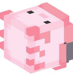 Minecraft head — Decor