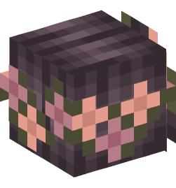 Minecraft head — People