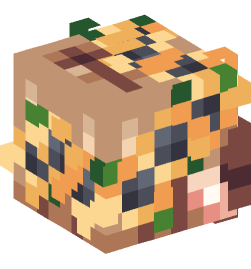 Minecraft head — People