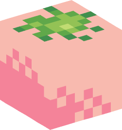 Minecraft head — Plants