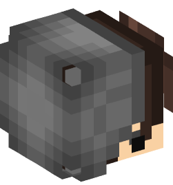 Minecraft head — People