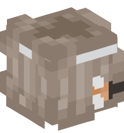 Minecraft head — People