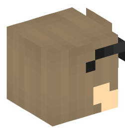 Minecraft head — People