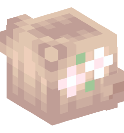 Minecraft head — People