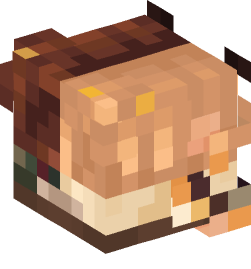 Minecraft head — Decor